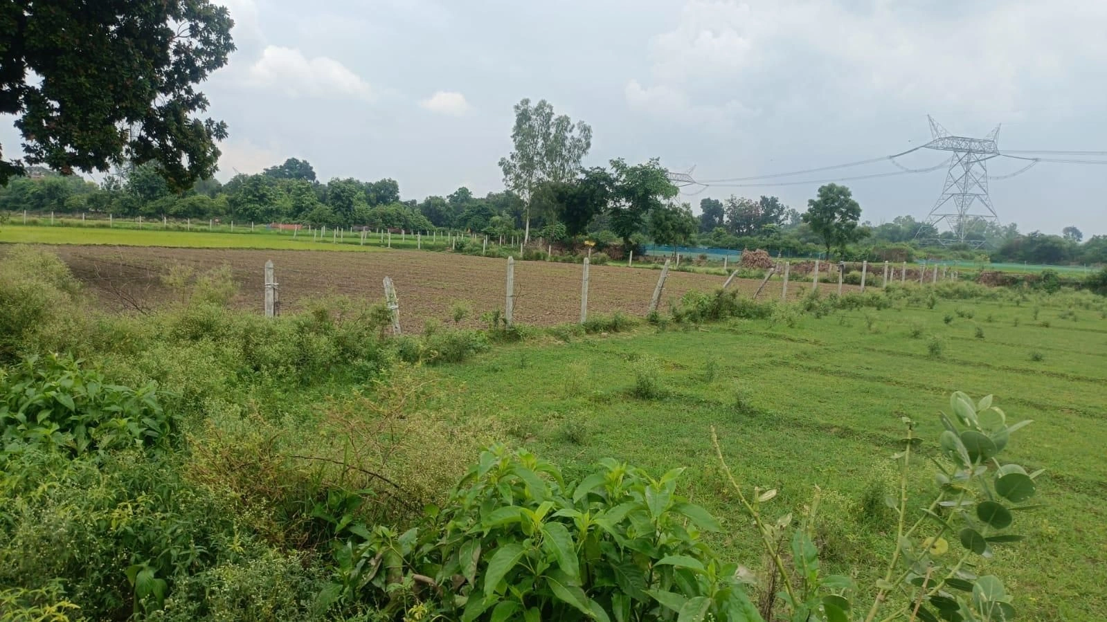 Muhammadabad Gohna, Mau, Uttar Pradesh, India - Photo 3
