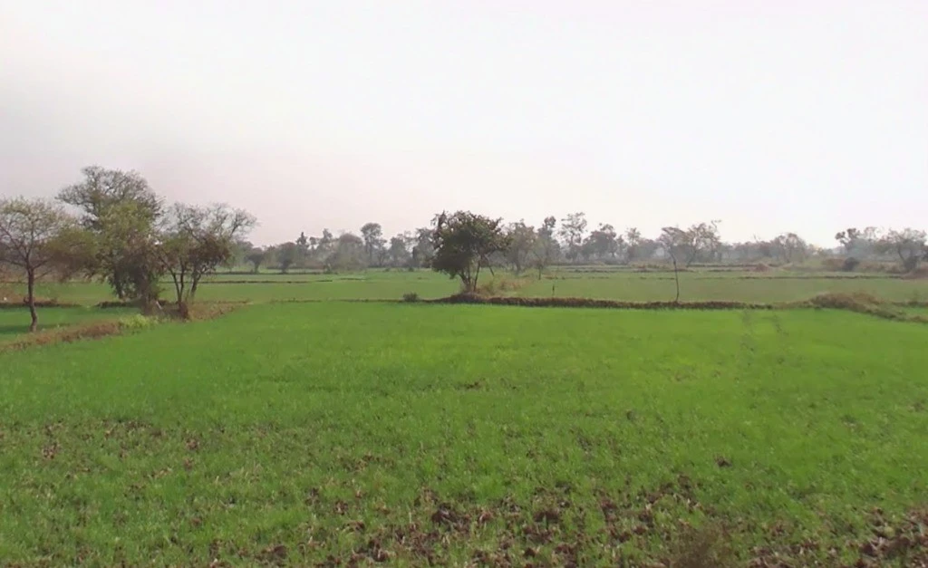 Gadamore, Chhattisgarh 491337, India