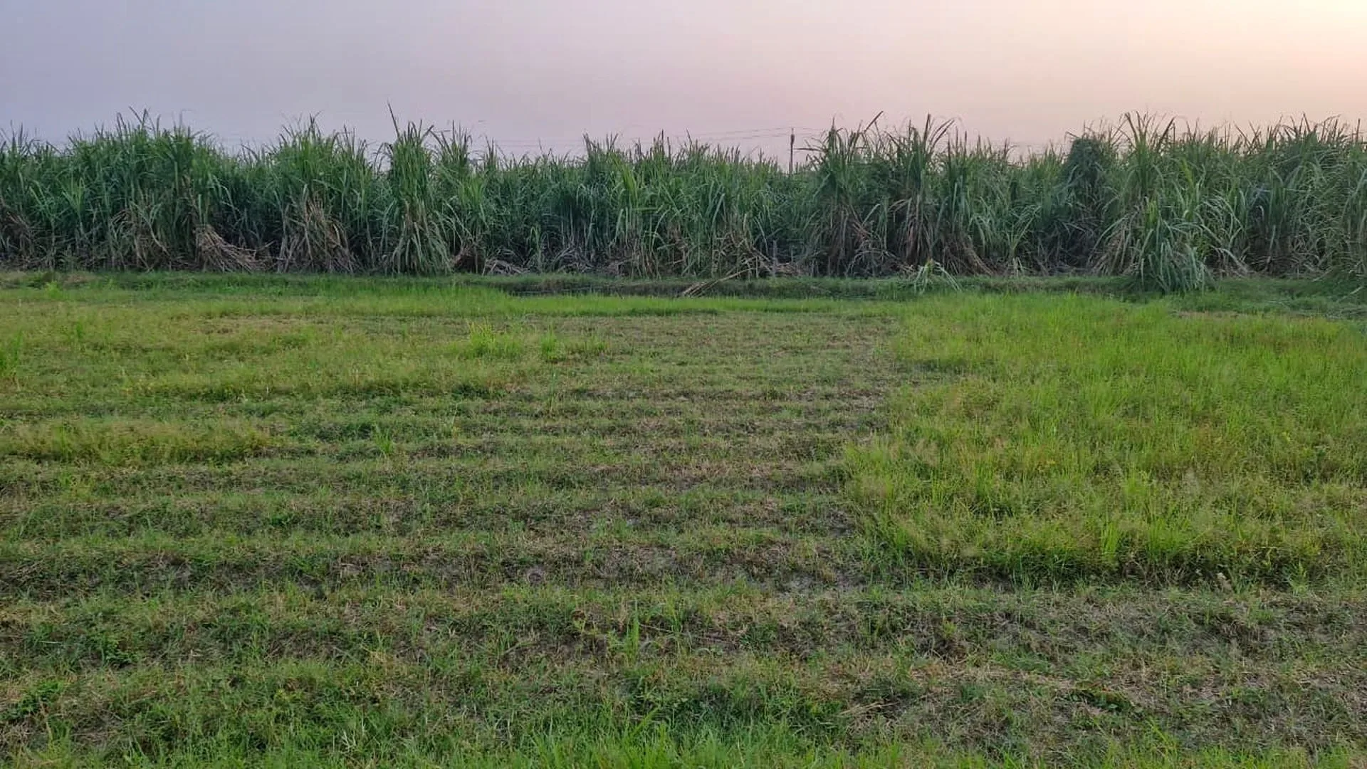 Agwanpur, Uttar Pradesh 250406, India