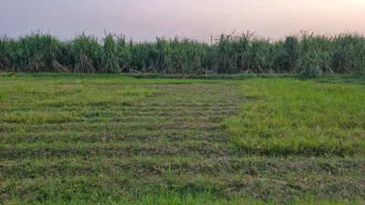 Agwanpur, Uttar Pradesh 250406, India preview 6