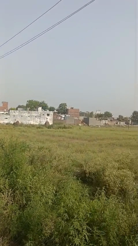 QPH6+6V5, Sarawa, Uttar Pradesh 245206, India