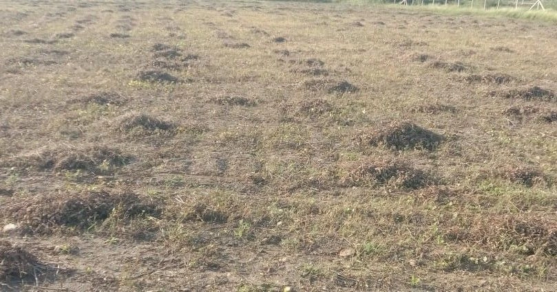 Malipura, Rajasthan 323022, India
