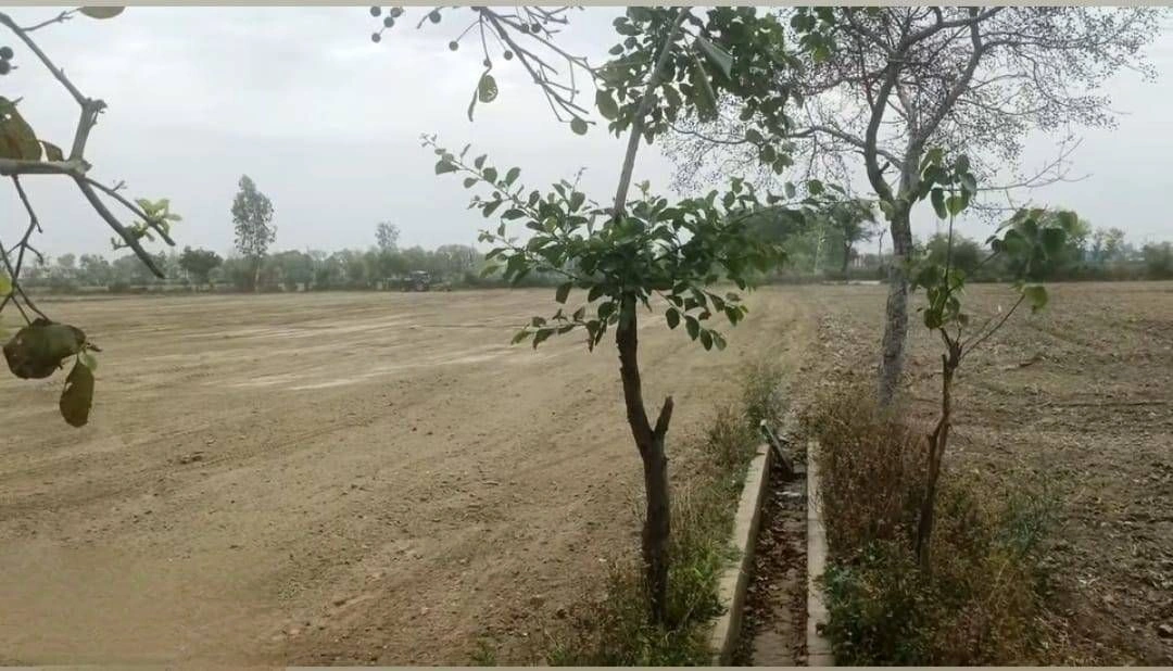 Chhata, Uttar Pradesh 281401, India