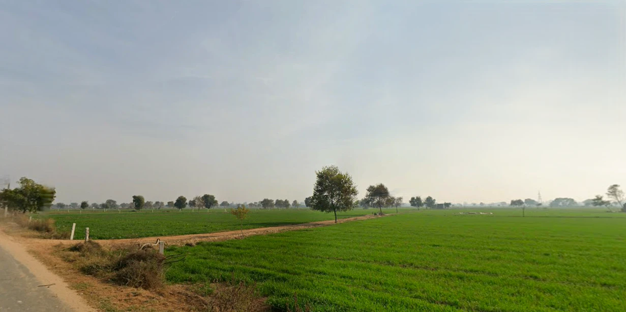 Daya, Haryana 125005, India