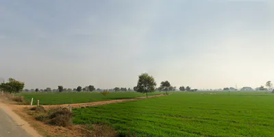 Daya, Haryana 125005, India preview 2