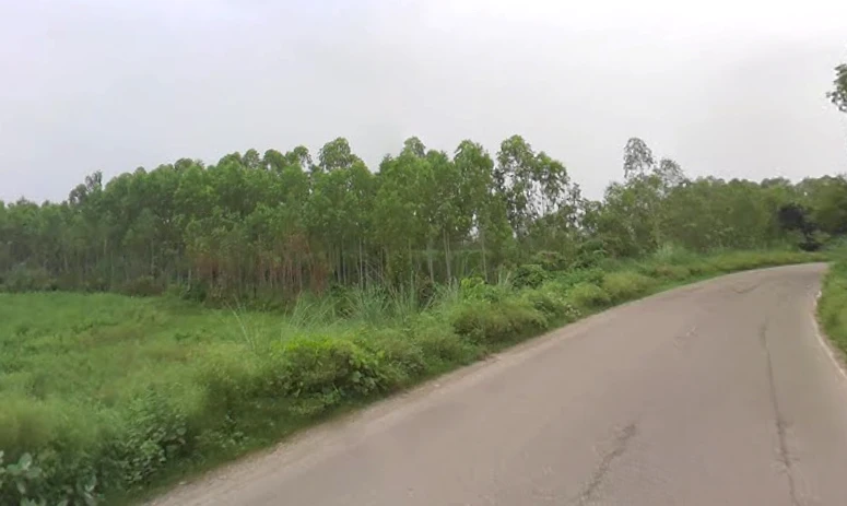 Sunderpur, Uttar Pradesh 247662, India