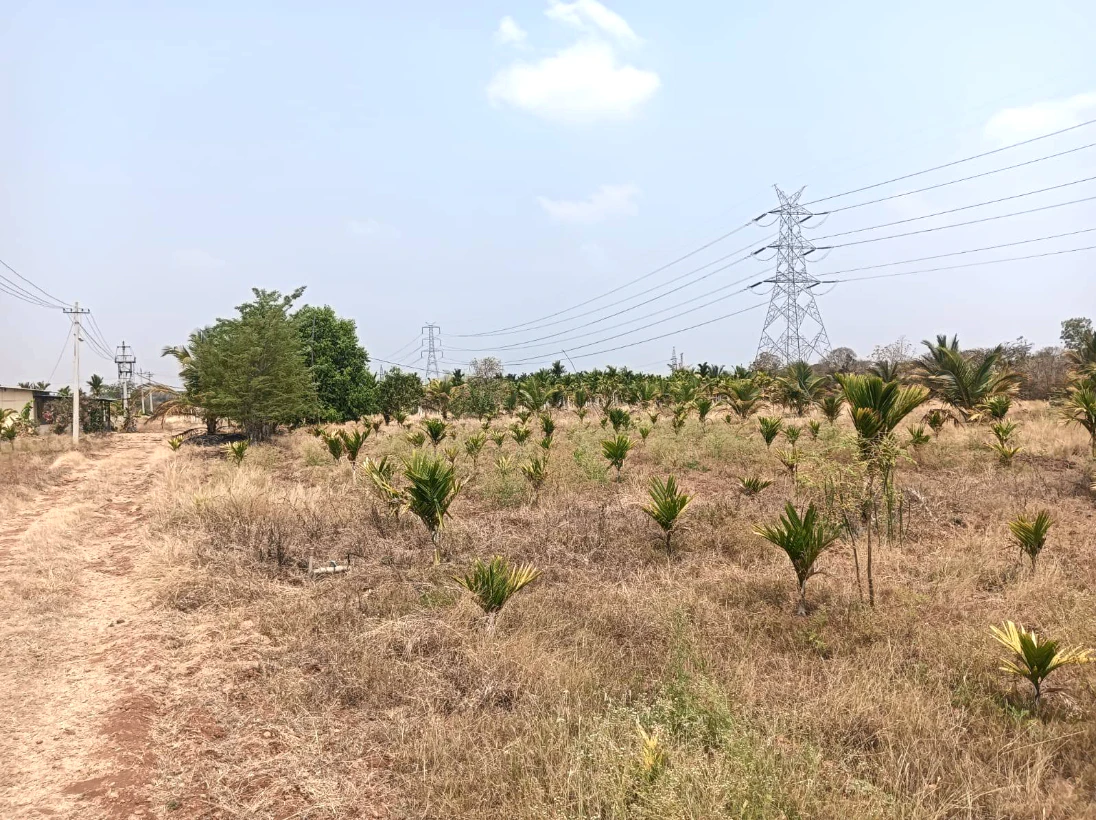 Hiriyur, Karnataka, India