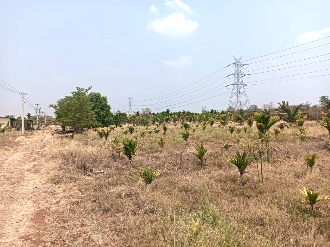Hiriyur, Karnataka, India