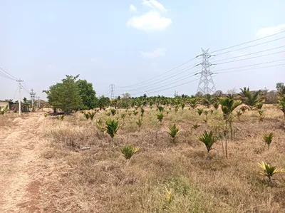 Hiriyur, Karnataka, India preview 4