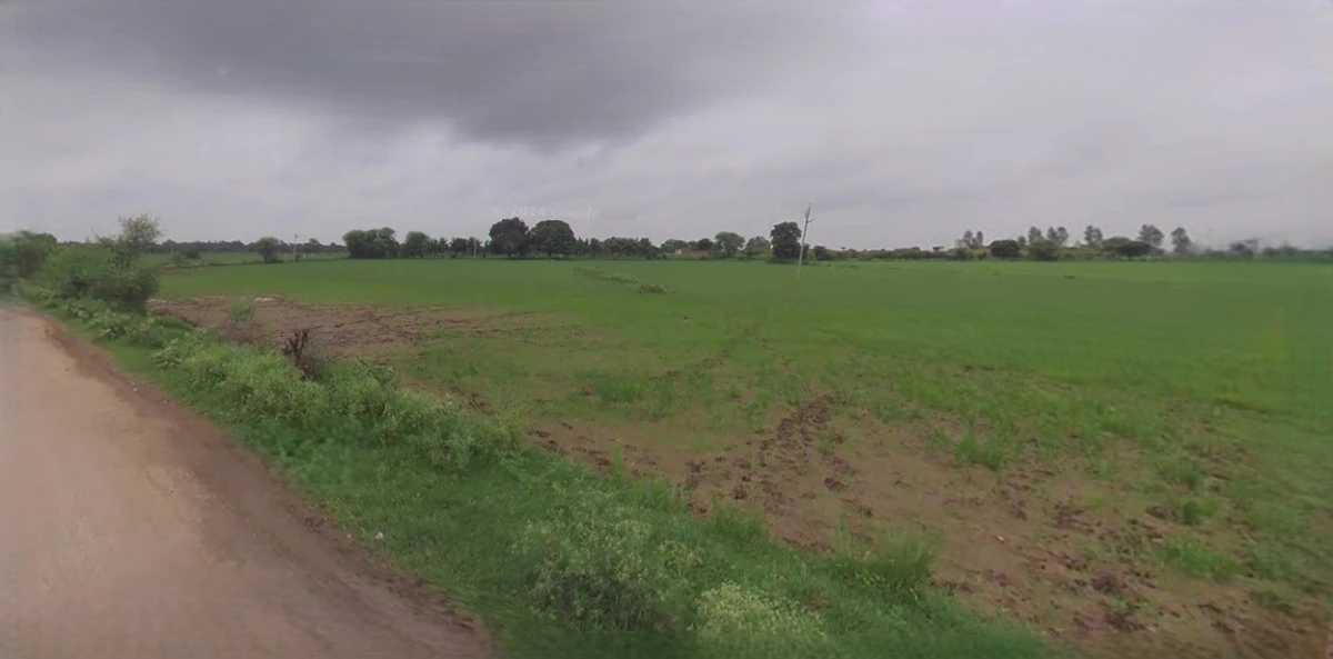 Barnagar, Madhya Pradesh 456771, India