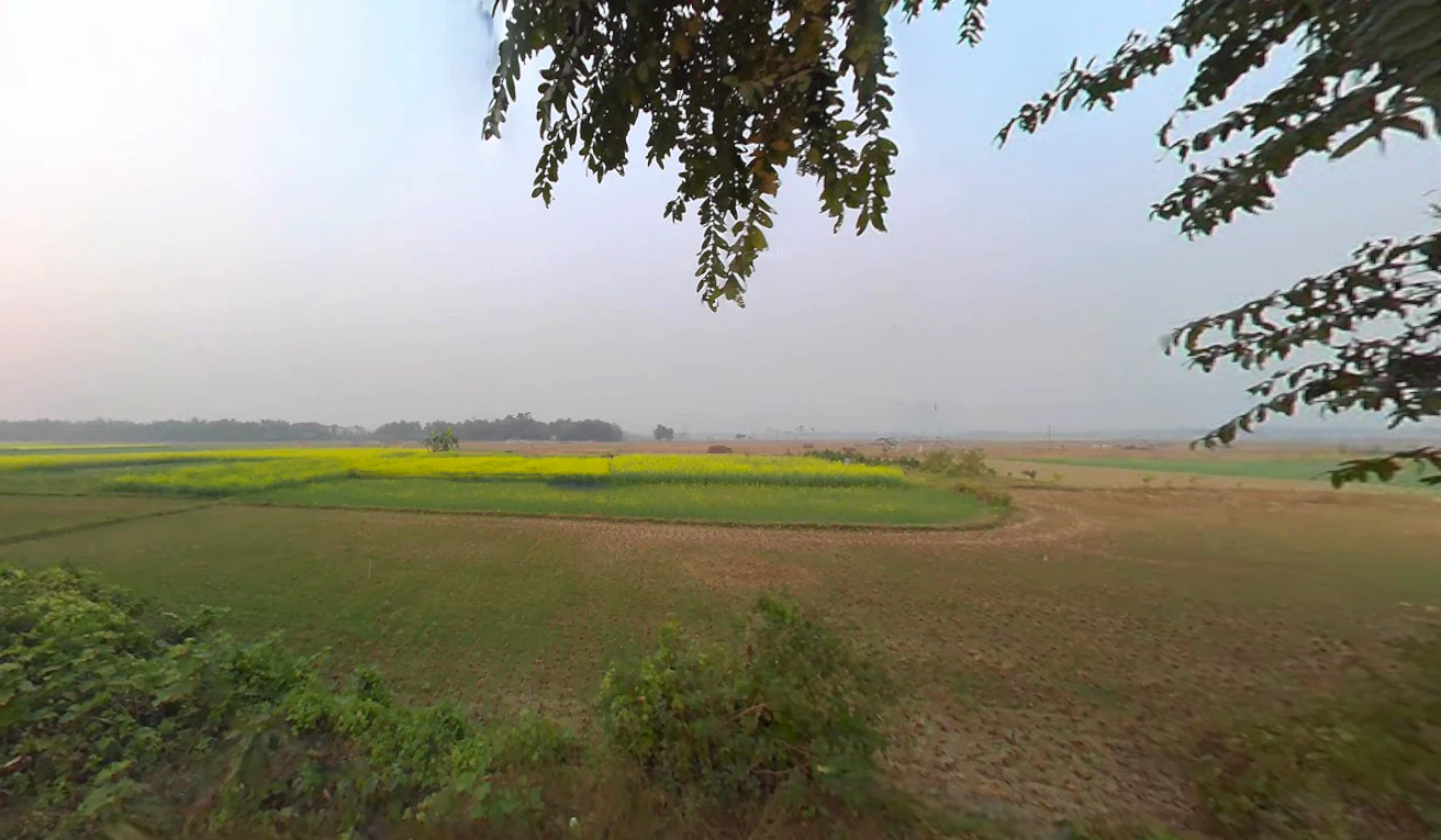 Jaguli, West Bengal, India