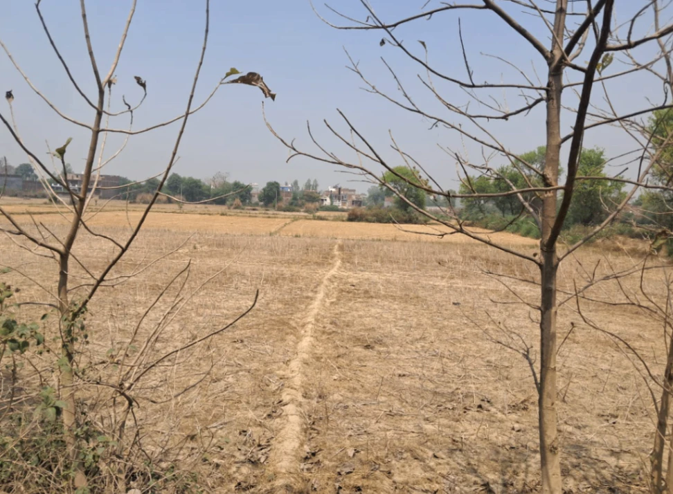Kharar, Punjab 140301, India