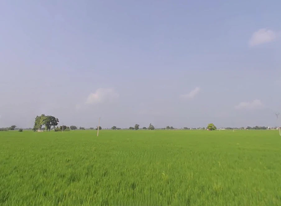 Nihal Singh Wala, Punjab 142055, India