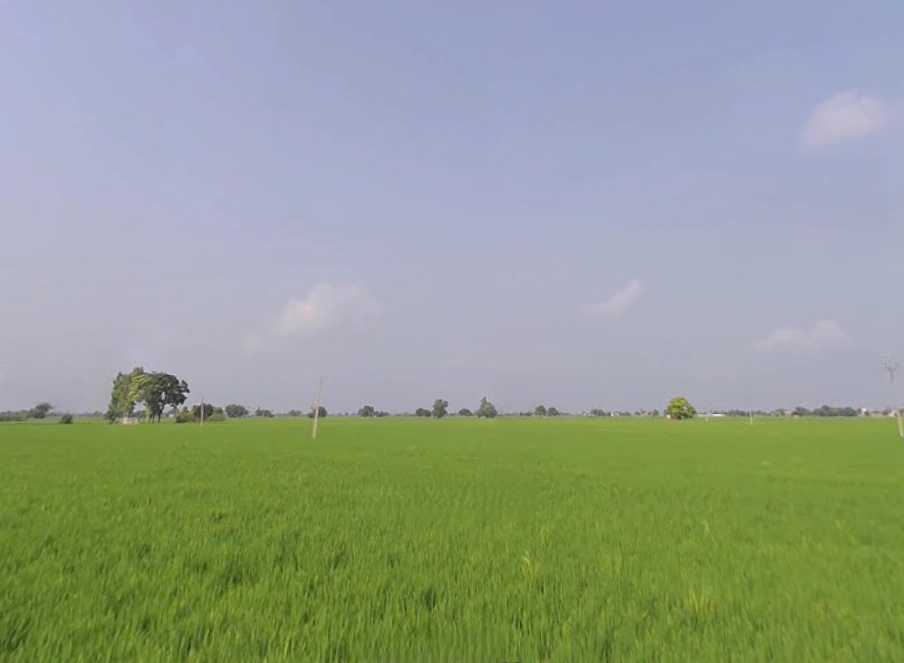 Nihal Singh Wala, Punjab 142055, India