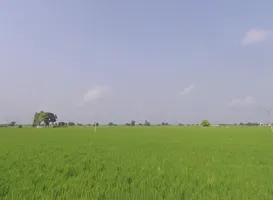 Nihal Singh Wala, Punjab 142055, India preview 2