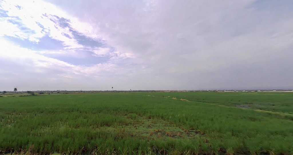 Uleta, Haryana 122103, India