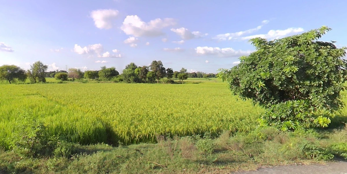 Seoni, Madhya Pradesh 480661, India