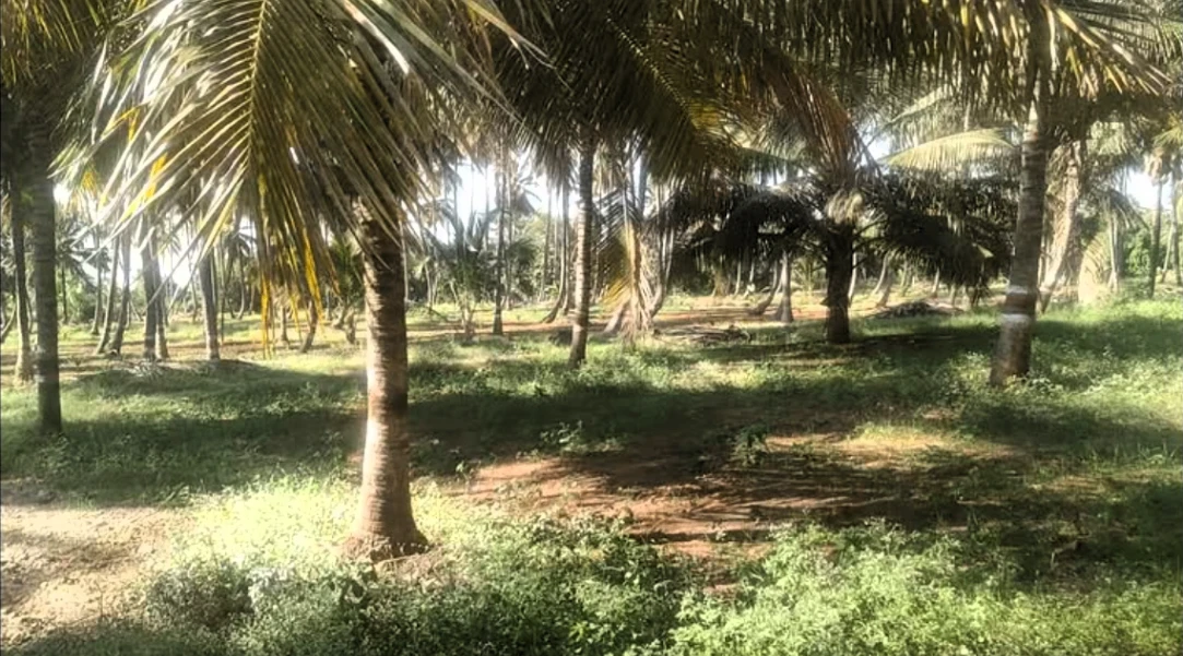 Nanjangud, Karnataka, India