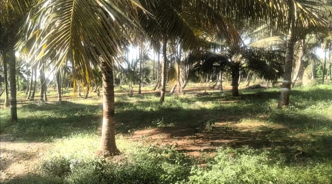 Nanjangud, Karnataka, India