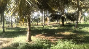 Nanjangud, Karnataka, India preview 3