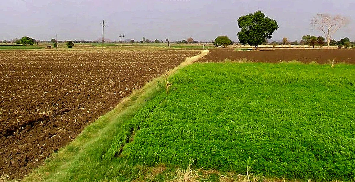 Kushalpura, Madhya Pradesh 466115, India