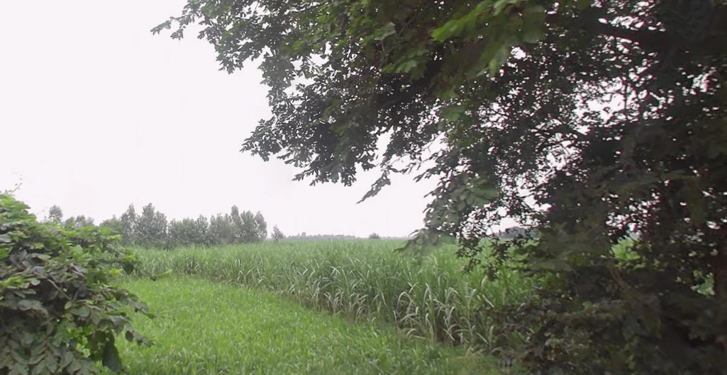 Dataganj, Uttar Pradesh 243635, India