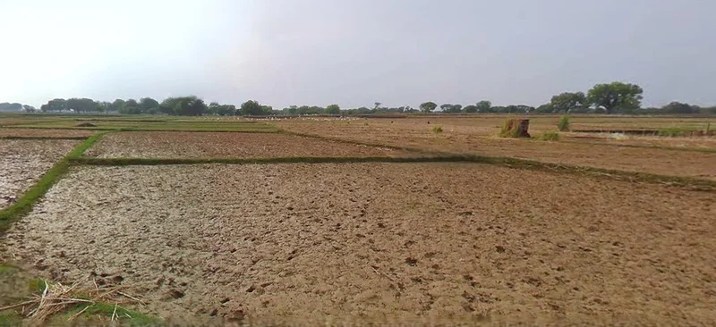 Prayagraj, Uttar Pradesh, India preview 3