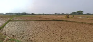 Prayagraj, Uttar Pradesh, India preview 3