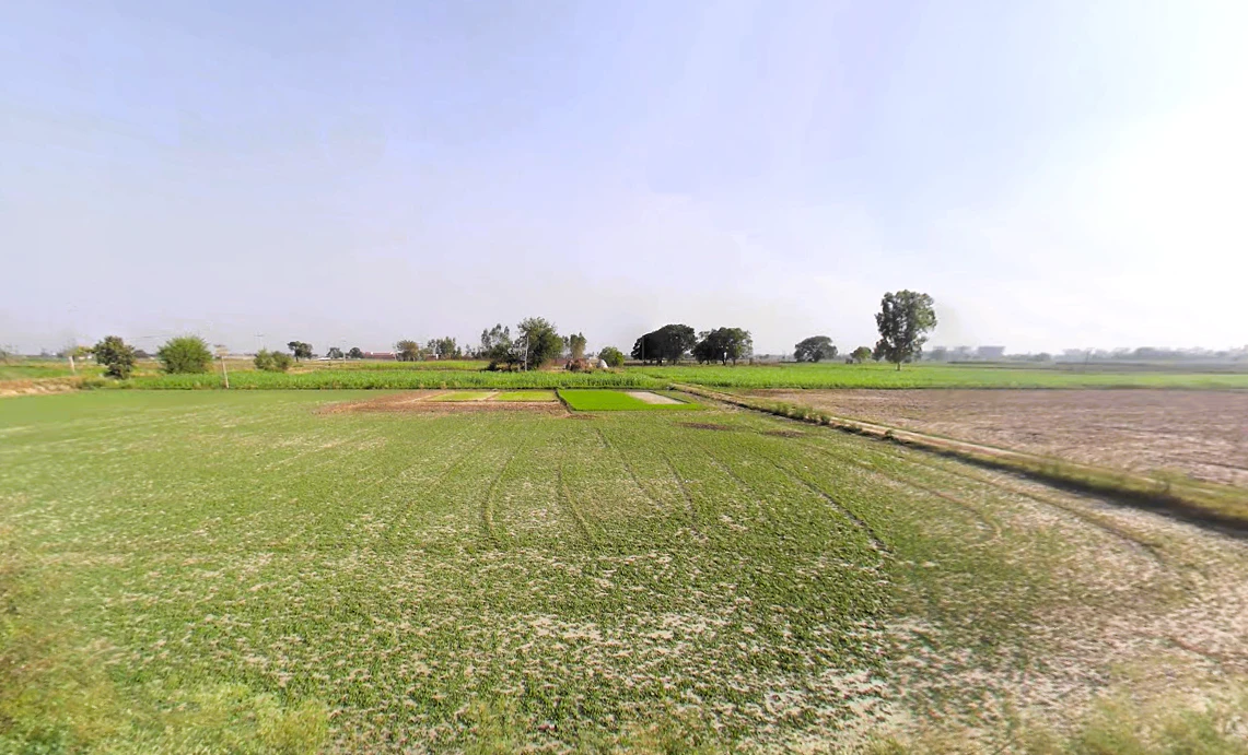 Barsat, Haryana 132114, India