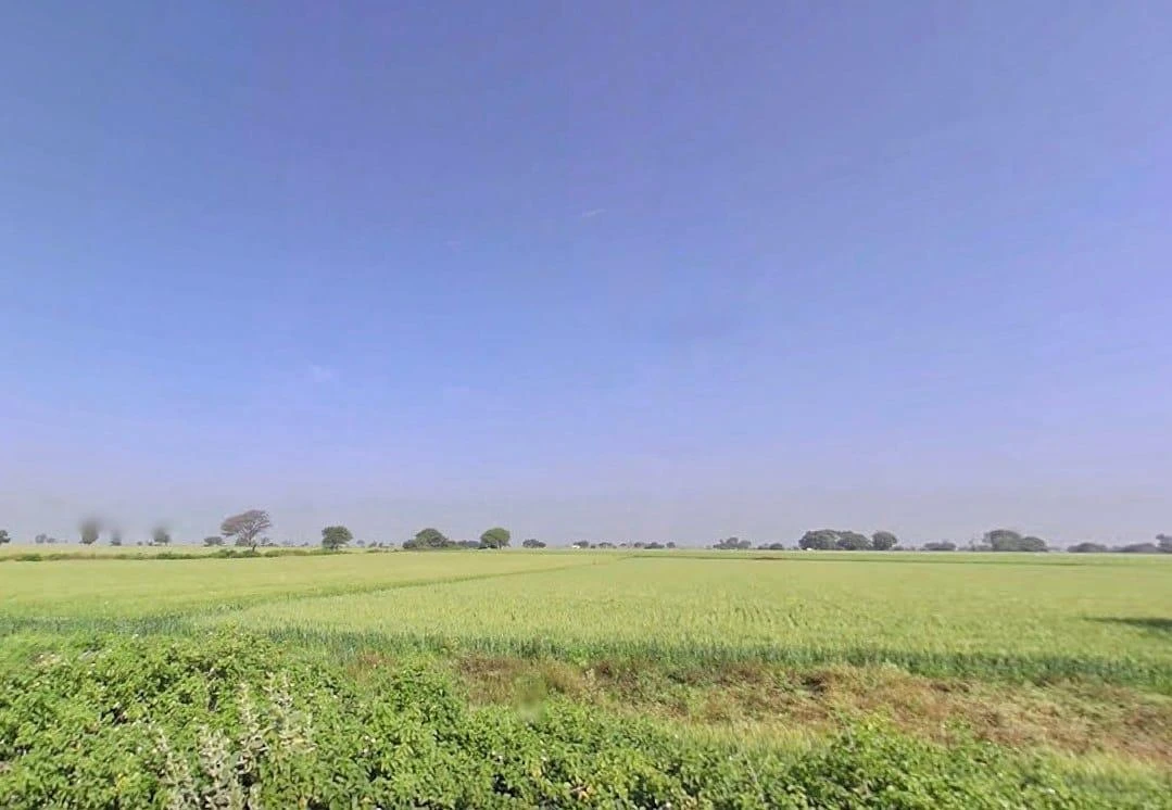 WR7M+332 Neem chok, Baloda, Madhya Pradesh 453551, India