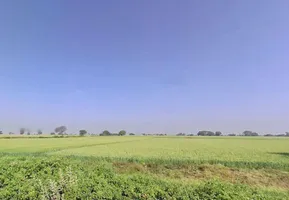 WR7M+332 Neem chok, Baloda, Madhya Pradesh 453551, India preview 3