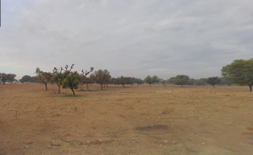 Sladhipura, Sukhalpura, Salagrampura, Rajasthan 303328, India