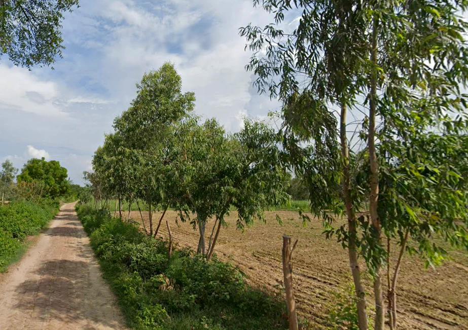 Faridpur, Uttar Pradesh 243503, India