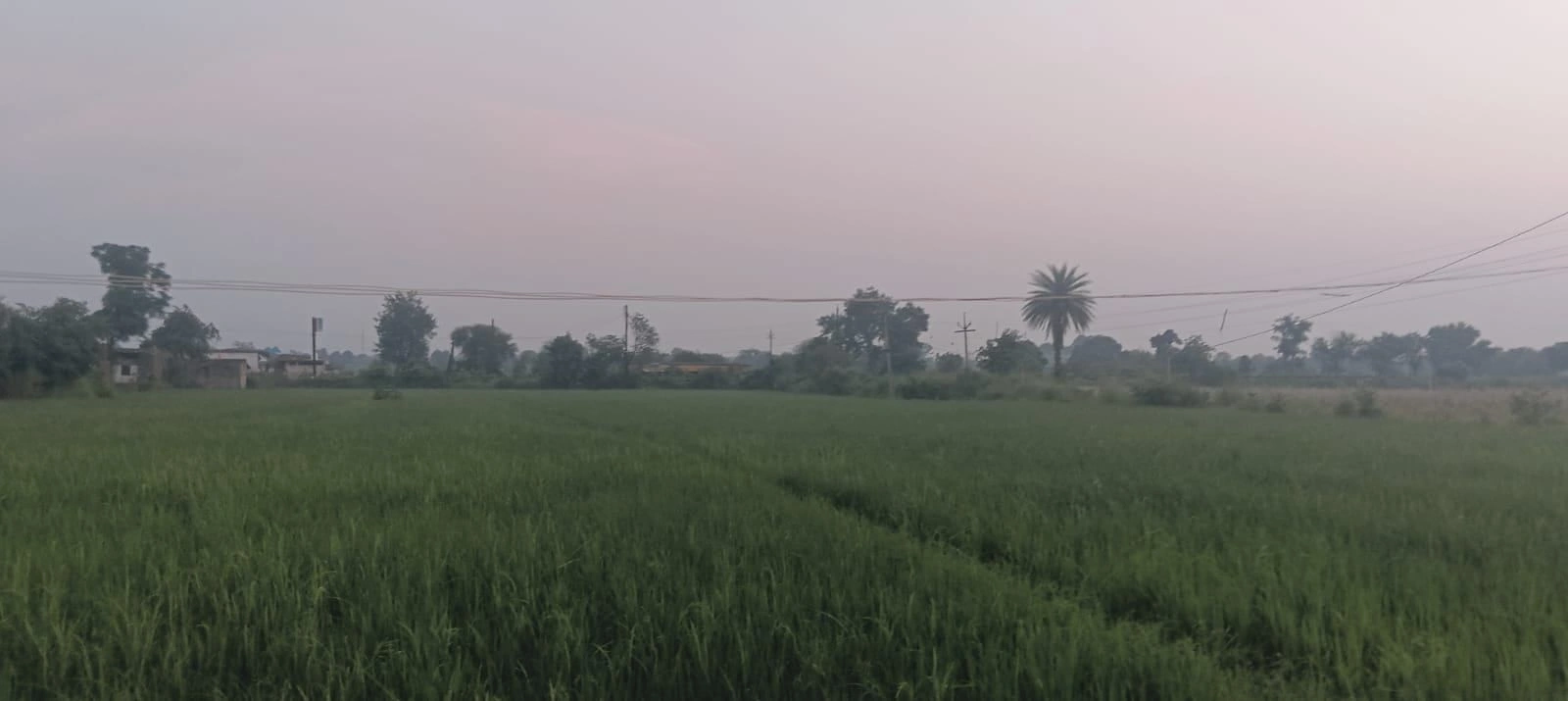 CR7H+RJ4, Shivpuri, Bhada Bawadi, Madhya Pradesh 473551, India