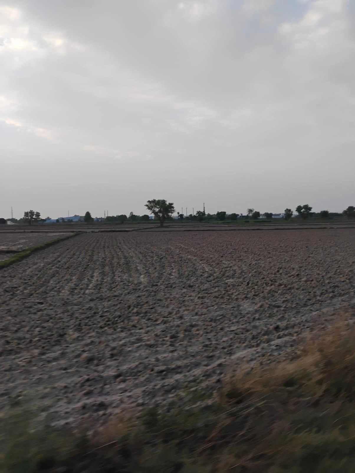 Bishambhara, Uttar Pradesh 281404, India preview 2