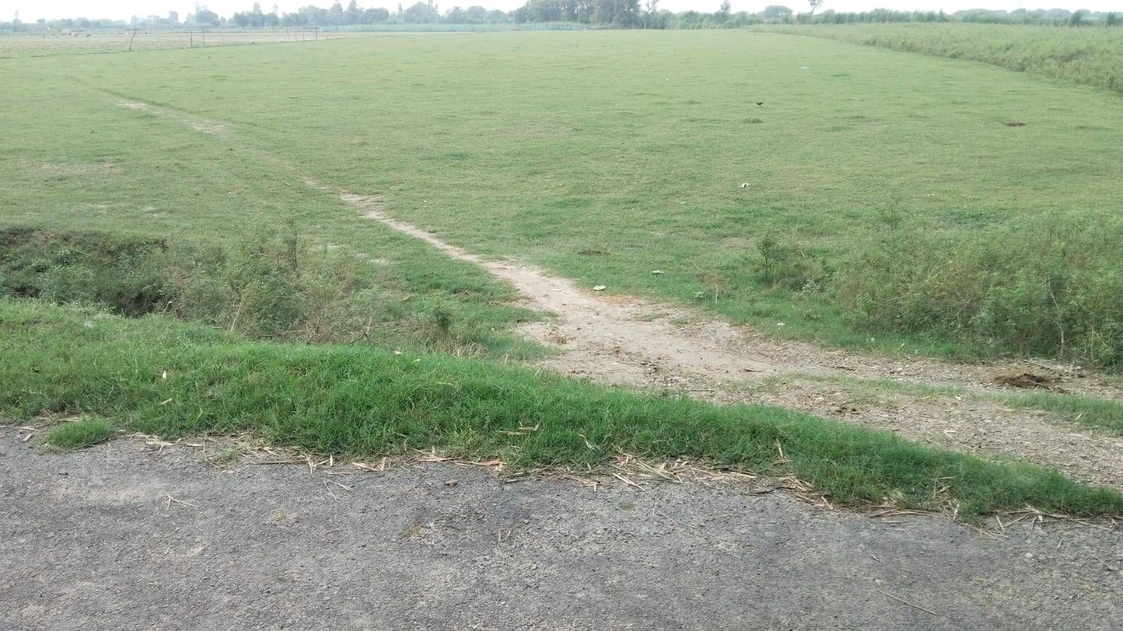 J3Q6+F3 Mukimpur Urf Paharpur, Ayodhya, Uttar Pradesh, India