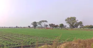 Suwasra, Madhya Pradesh 458888, India preview 2