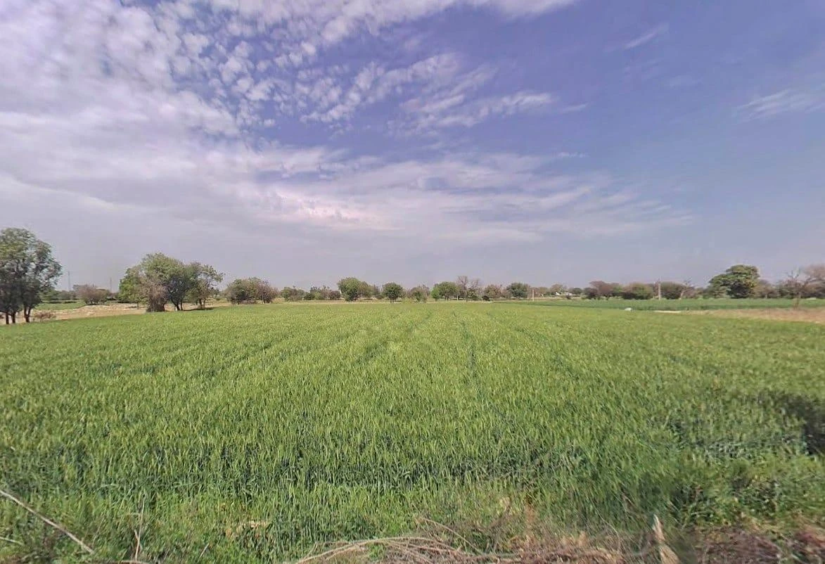 Naithla, Rajasthan 301406, India