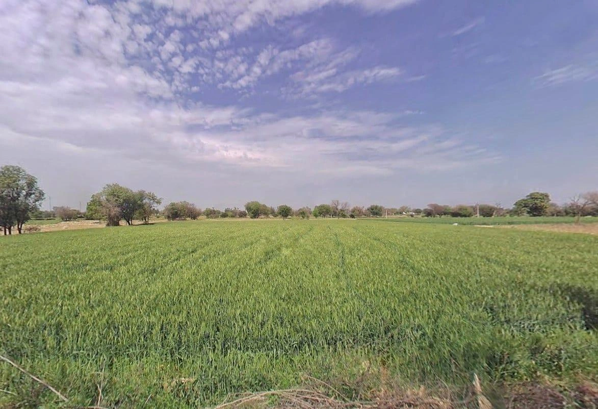 Naithla, Rajasthan 301406, India