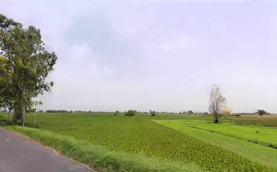 Gharaunda, Haryana 132114, India preview 3