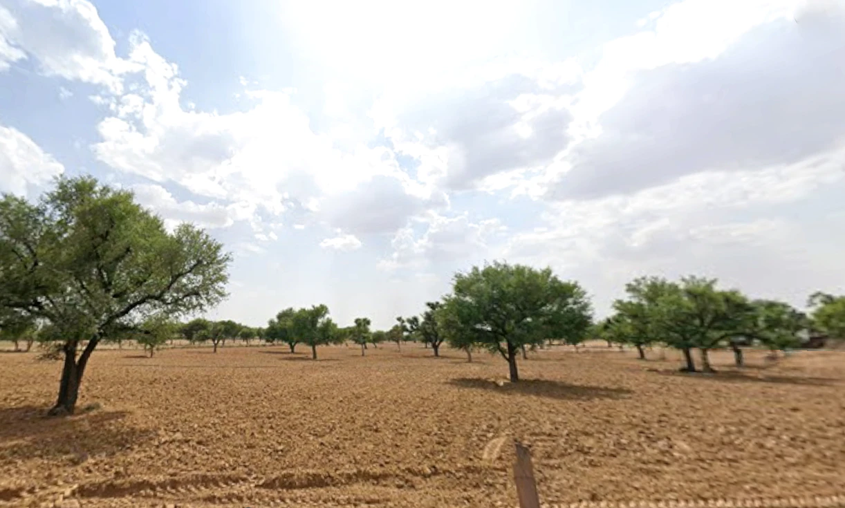 Danta Ramgarh, Rajasthan 332703, India