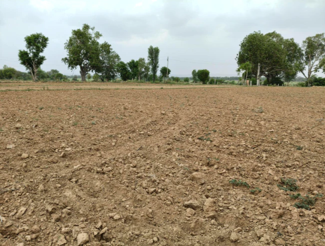 Randoli, Haryana 132054, India