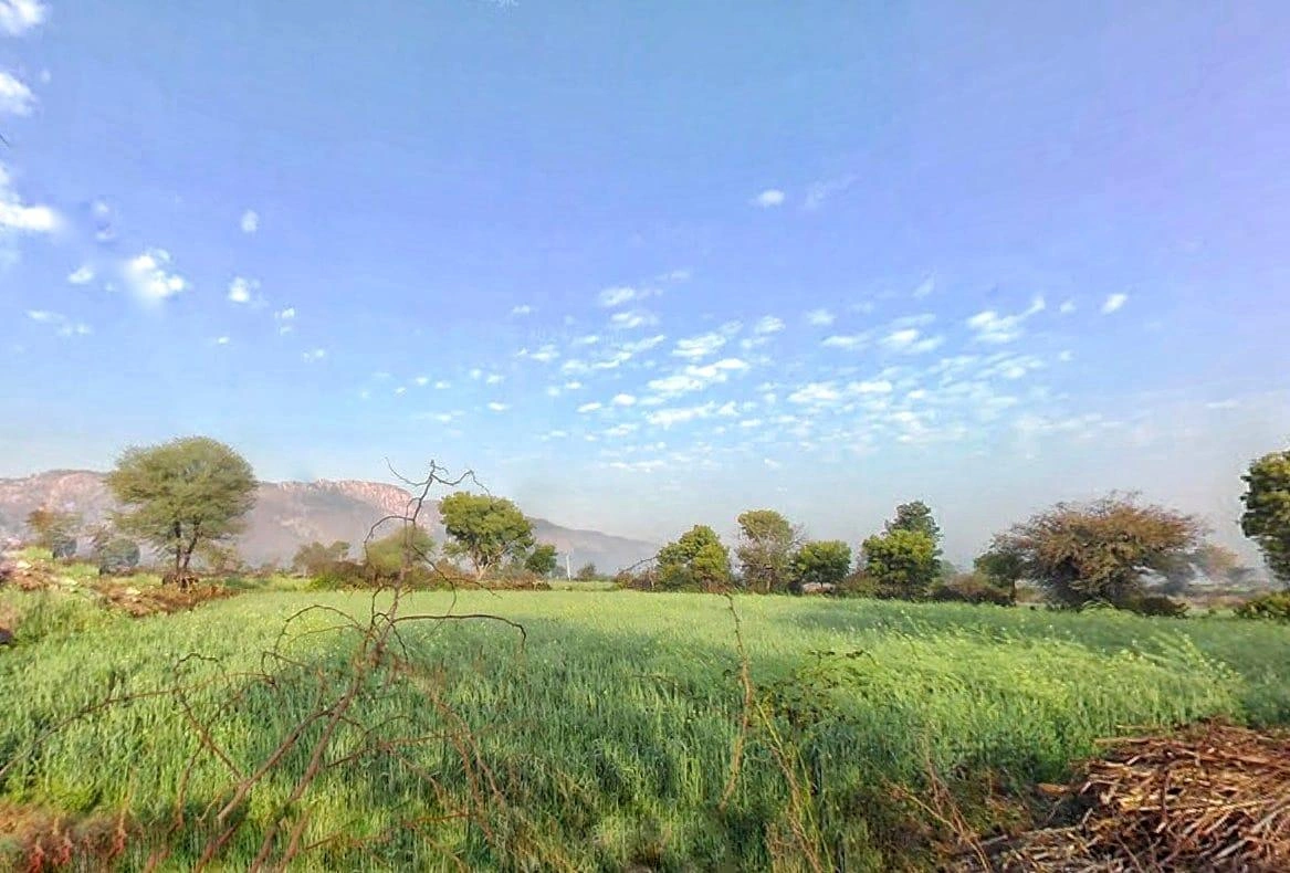 HF5F+2R8, Rundh Binak, Rajasthan 301001, India