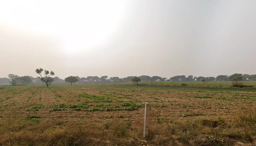 Hetampura, Haryana 127029, India