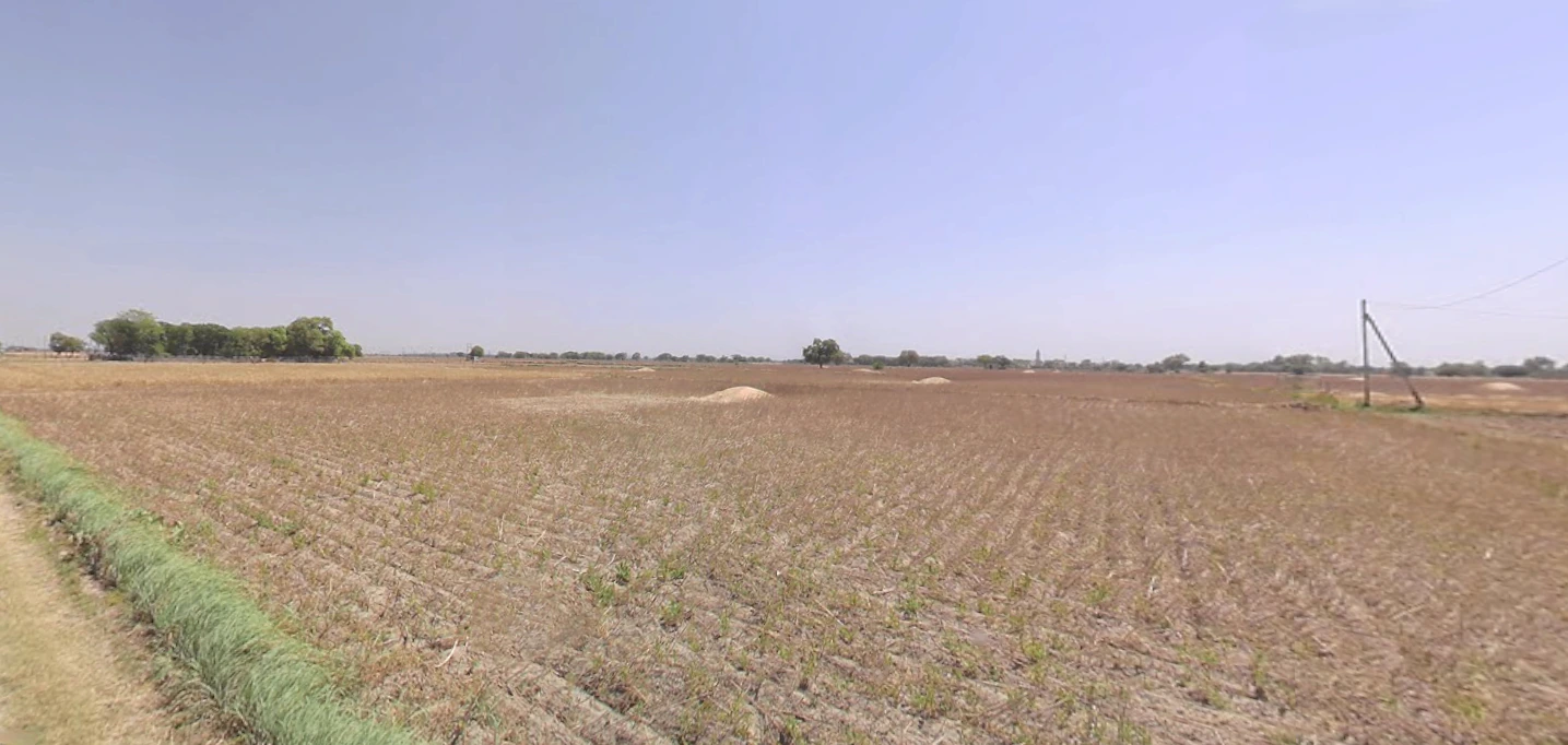 Chekhla, Gujarat 382115, India