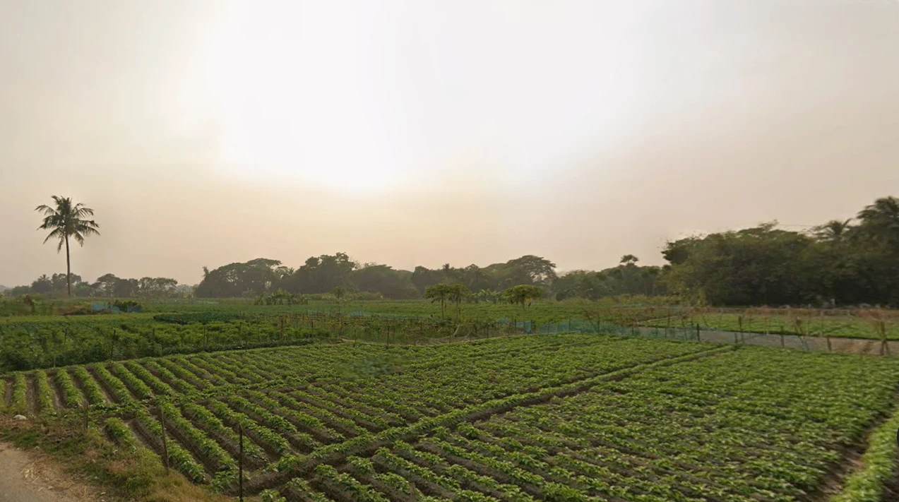 HFPR+85C, AA II, Newtown, Chakpachuria, West Bengal 700160, India