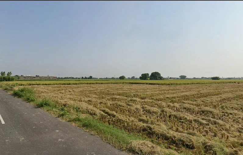 Ghanaur, Punjab 140702, India