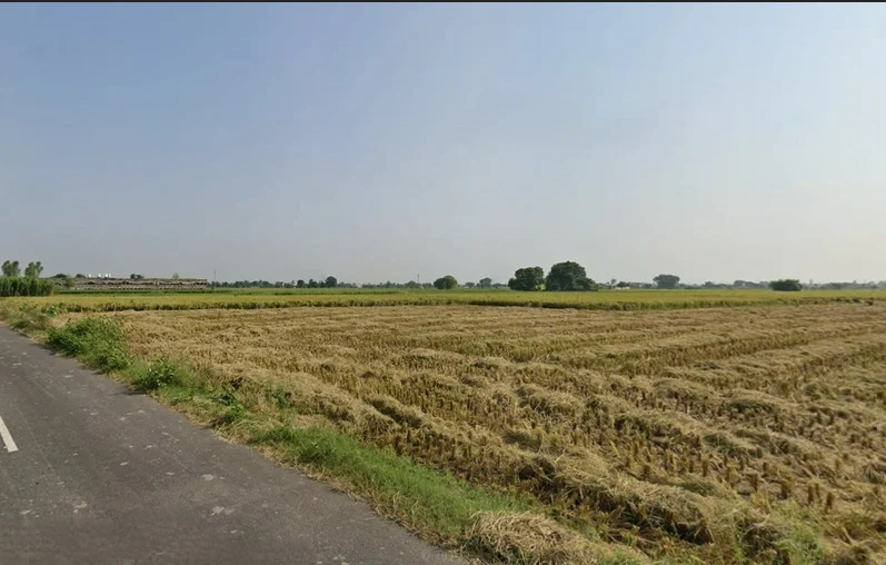 Ghanaur, Punjab 140702, India