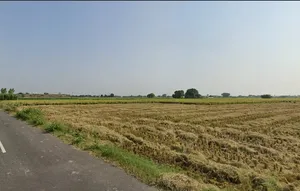 Ghanaur, Punjab 140702, India preview 3
