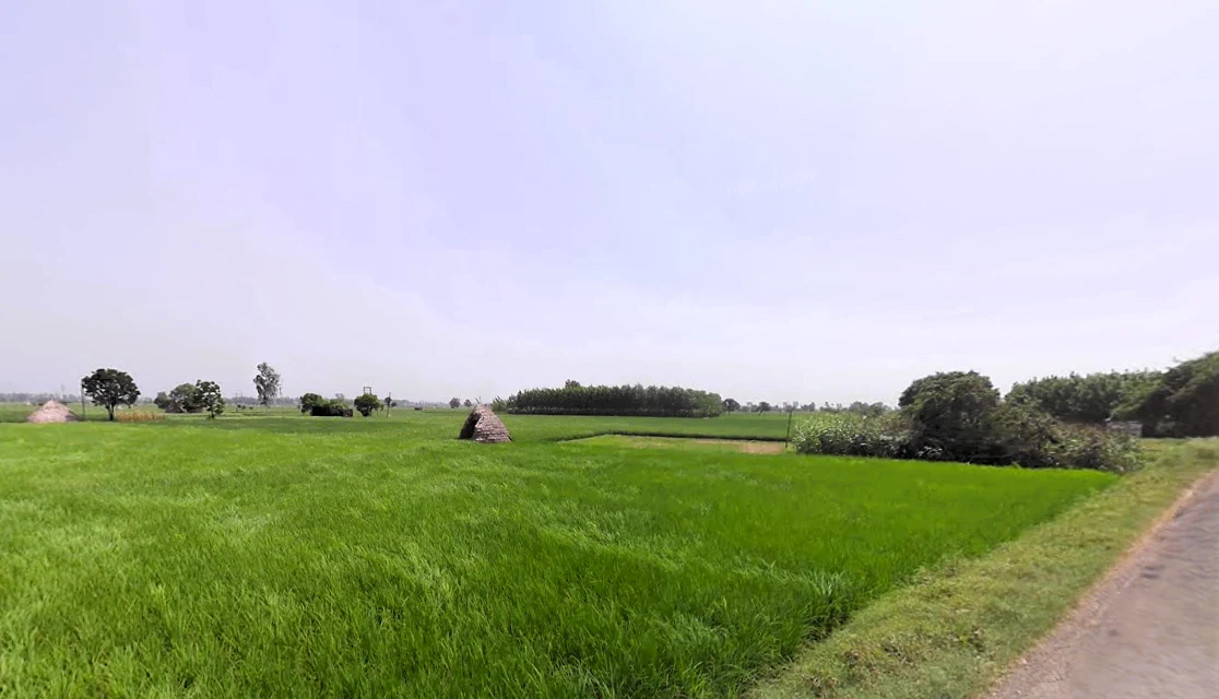 Raipur Rani, Haryana 134204, India